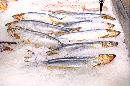 fresh raw sea bass fish chilled in ice in a supermarket. Proper dietary nutritionの写真素材