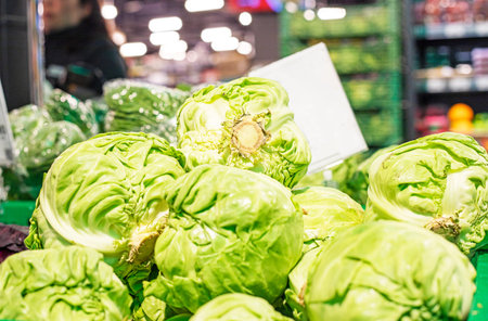 young white cabbage in a container in the supermarket. Vegetable calcium. Products for women