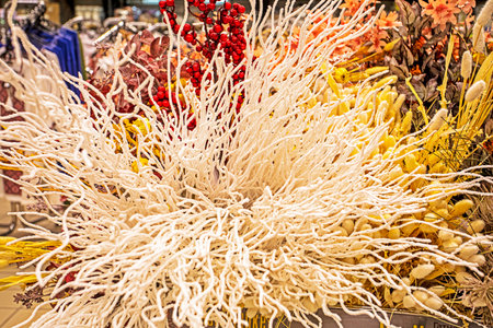 beautiful colorful background of various plantsの写真素材