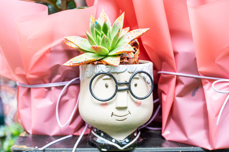 succulent in stylish funny pots outside. sale and fairの写真素材