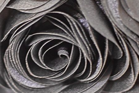 close-up background of black blossoming flowerの写真素材