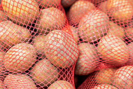 young white potatoes packaged in red nets in a supermarketの写真素材