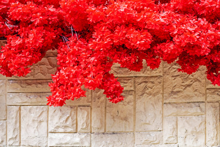 red flowers. Decoration of holidays, opening of offices and other events