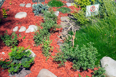 design of paths with red eco material in landscape design of plants