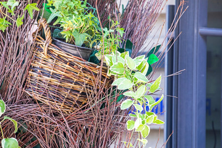 turf sprig and other plants in a decorative basket