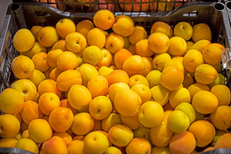 ripe varietal apricots in a container in a supermarket by weightの写真素材