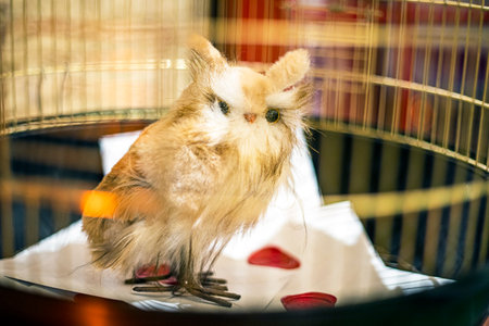 toy owl in a cage as a symbol of science and knowledgeの写真素材