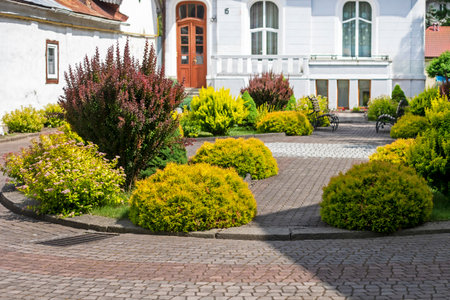 ornamental plants used in the landscape near the houseの写真素材