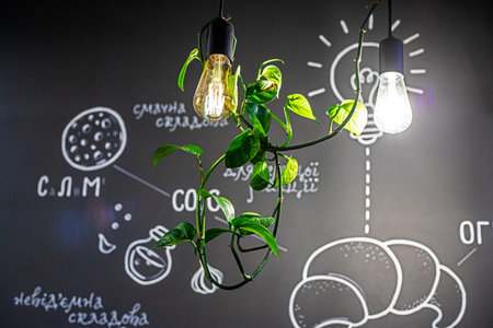 eco stylish interior with live ivy on the wall and illuminated lamps