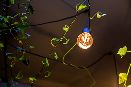 eco stylish interior with live ivy on the wall and illuminated lamps