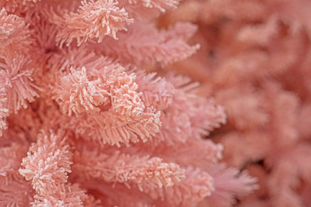 delicate powdery Christmas background from a Christmas treeの写真素材