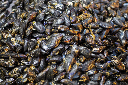 background from sea brines. Marine by-products. Natural microelements for the bodyの写真素材