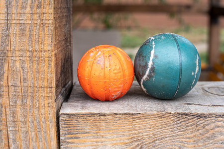 blue and orange ball for playing with pets. comparison and qualityblue and orange ball for playing...