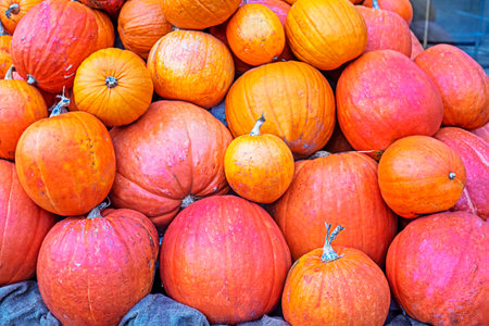 background of ripe orange pumpkins stacked on top of each other.の写真素材