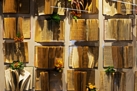 background of old open books with flowers in the interiorの写真素材