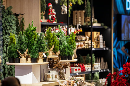 Small Christmas trees in a flower shop. Preparing for Christmas.の写真素材