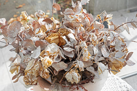 Beautiful dried bouquet in a vase in the interiorの写真素材