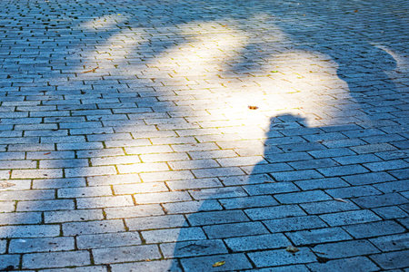 urban cobblestone street, sunlit and shaded from the outside