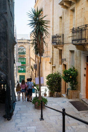 narrow streets with palm trees on a hot day in Malta. Traveling in Europeの写真素材