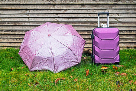 An open purple umbrella next to a purple travel suitcase on the wet grass near the fence. Stylish travel.の写真素材