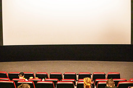 Moviegoers in the cinema before the premiere