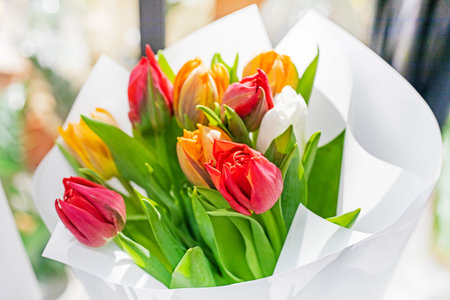 Beautiful red and yellow tulips wrapped in white paper