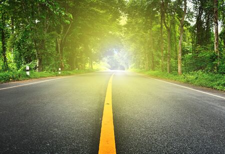 asphalt road on jungle with lightの写真素材