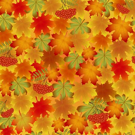 Autumn pattern with maple leaves and Rowanの写真素材