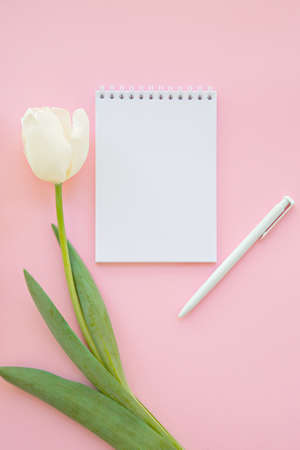 white tulips flowers and a gift on a pink background Place for text. postcard. holiday. Women's Day. Valentine's Day. mother's dayの写真素材