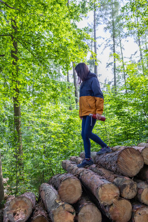 Woman tourist goes down the wooden logs in the forest.の写真素材