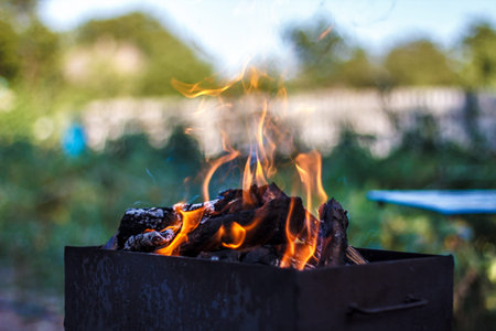 fire flames over burning wood in brazier