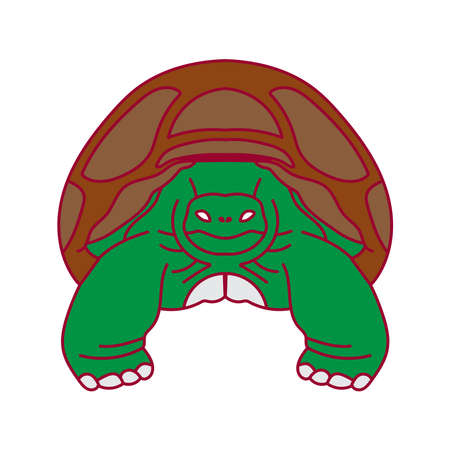cute turtle character cartoon mascot illustration suitable for logoのイラスト素材