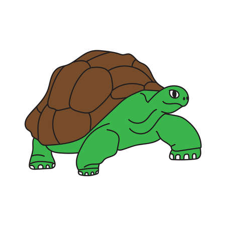 cute turtle cartoon illustration walking like realのイラスト素材