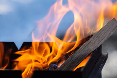 Close-up of flames. Selective focus of a fire with orange flames and wood against the background of...
