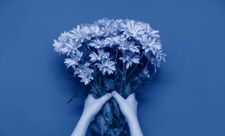 A beautiful spring bouquet of chrysanthemums in childrens hands on an isolated background. Greeting card.Color concept of the year, classic blue background.Trend 2020, layout for designの写真素材