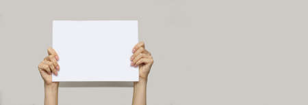 White female European hands hold a blank sheet of white paper, a protest sign, on an isolated gray background. The concept of slogans, the fight against racism. Copy of the space, banner.の写真素材