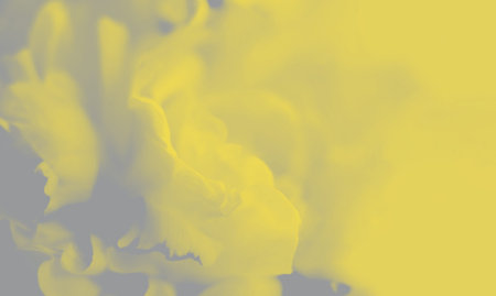 Unfocused blurred peony leaves in trendy colors. Abstract background, Wallpaper tinted in Illuminating Yellow and Ultimate Gray.の写真素材