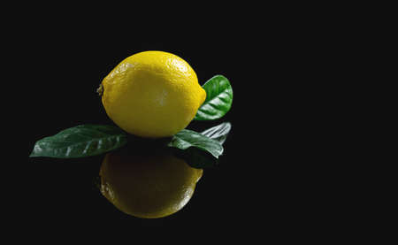 Fresh yellow lemon with green leaves and reflection on a black isolated background. Close-up, copy space.の写真素材