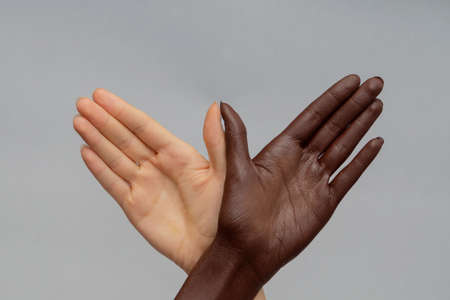 Two hands with white and black skin, in the shape of bird on gray isolated background. Close-up, copy space. Concept of freedom and peaceの写真素材
