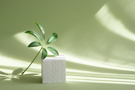 Green branch of palm tree next to square pedestal of white color against background of light green...