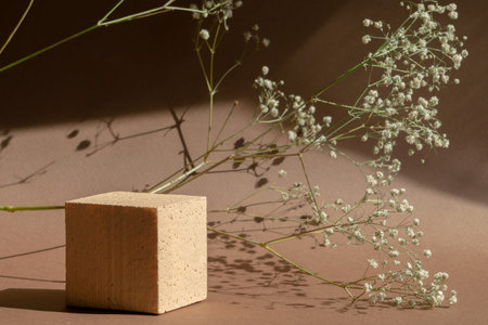 Square empty stand made of polystyrene next to sprig of gypsophila on beige solid background. Rays of sunlight fall on objects that cast shadow. Concept of 3d podium for presentationsの写真素材