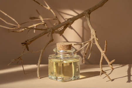 Square bottle of cosmetic oil among dry branches of tree, in rays of sunlight. Monochrome beige background with sun glare. Concept of spa care, natural cosmetics.の写真素材