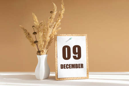 december 9. 9th day of month, calendar date.White vase with dried flowers on desktop in rays of sunlight on white-beige background. Concept of day of year, time planner, winter month.の写真素材