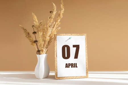 April 7. 7th day of month, calendar date.White vase with dried flowers on desktop in rays of sunlight on white-beige background. Concept of day of year, time planner, spring month.の写真素材