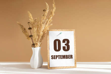 september 3. 3th day of month, calendar date.White vase with dried flowers on desktop in rays of sunlight on white-beige background. Concept of day of year, time planner, autumn month.の写真素材