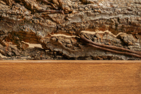 Empty wooden shelf with defocused background made of wooden bark. Suitable for presentation of...