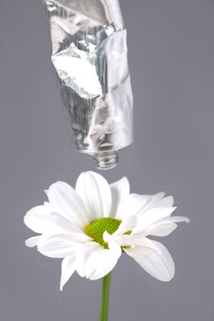 Tube of cosmetic lotion-cream with an open lid in close-up on gray isolated background. Hand skin care product hangs over white chamomile flowerの写真素材