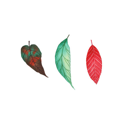 Set of autumn leaves isolated on white background. Yellow autumn garden leaf, red autumn leaf and...