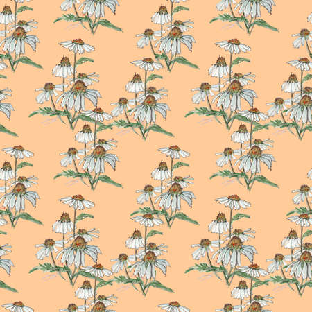 Design chamomile field meadow spring summer flowers seamless pattern on light beige background.Trendy dissipative floral texture for print, fashion, textile, fabric, decoration, wrappingの写真素材