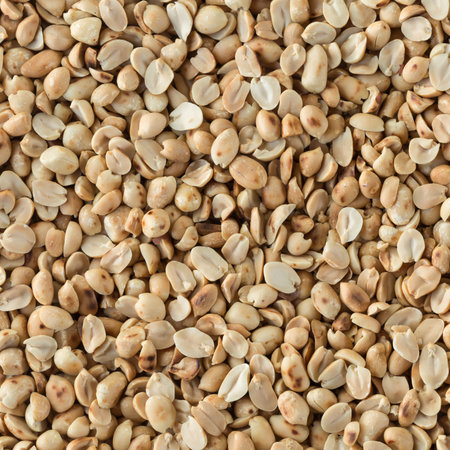 roasted peanut without peel
